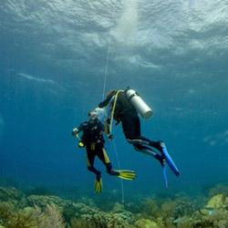 Formation plongee en guadeloupe reserve cousteau
